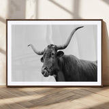 99244177-MGC-FP-36x24_Walnut-Longhorn Photography Wall Art Canvas Print, Framed Western Cow Decor Art Picture Print, Black White Bull Perfect Modern Rustic