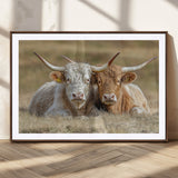 53388593-MGC-FP-36x24_Walnut-Cow Photography Wall Art Canvas Print, Framed Rustic Animal Decor Art Picture Print, Texas Cow Pair Perfect Western Farmhouse