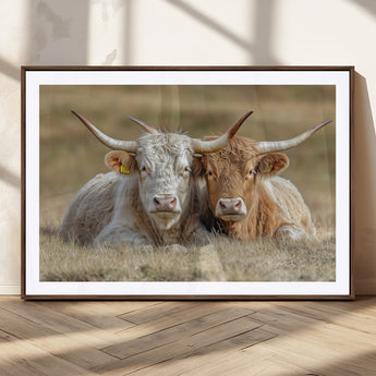 53388593-MGC-FP-36x24_Walnut-Cow Photography Wall Art Canvas Print, Framed Rustic Animal Decor Art Picture Print, Texas Cow Pair Perfect Western Farmhouse