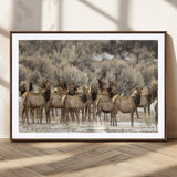 90269422-MGC-FP-36x24_Walnut-Elk Herd Scene Wall Art Canvas Print, Framed Rustic Wildlife Decor Art Picture Print, Western Cabin Style Perfect Rustic Lodge