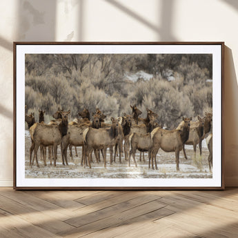 90269422-MGC-FP-36x24_Walnut-Elk Herd Scene Wall Art Canvas Print, Framed Rustic Wildlife Decor Art Picture Print, Western Cabin Style Perfect Rustic Lodge