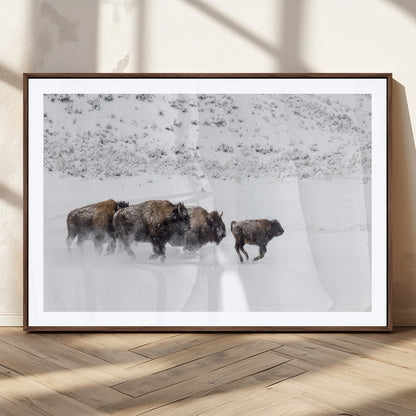 56216945-MGC-FP-36x24_Walnut-Bison Herd Decor Wall Art Canvas Print, Framed Snowy Bison Scene Art Picture Print, Winter Wildlife Theme Perfect Rustic Western