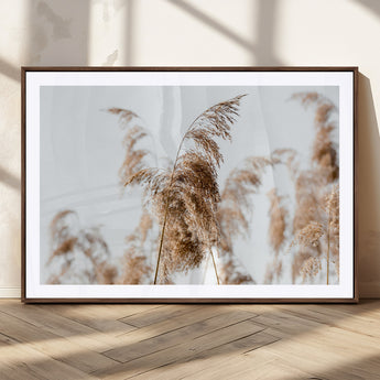 17019393-MGC-FP-36x24_Walnut-Pampas Grass Wall Art Canvas Print, Framed Neutral Tones Art Picture Print, Minimalist Nature Perfect Boho Minimalist Decor
