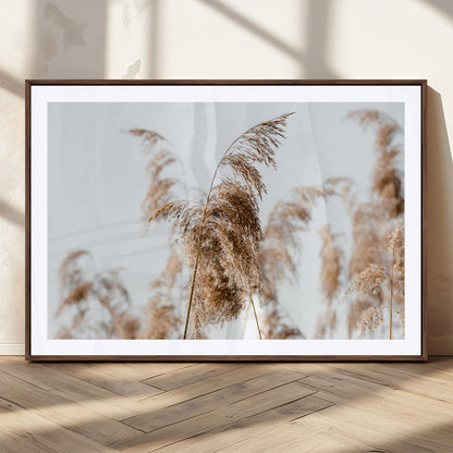 17019393-MGC-FP-36x24_Walnut-Pampas Grass Wall Art Canvas Print, Framed Neutral Tones Art Picture Print, Minimalist Nature Perfect Boho Minimalist Decor