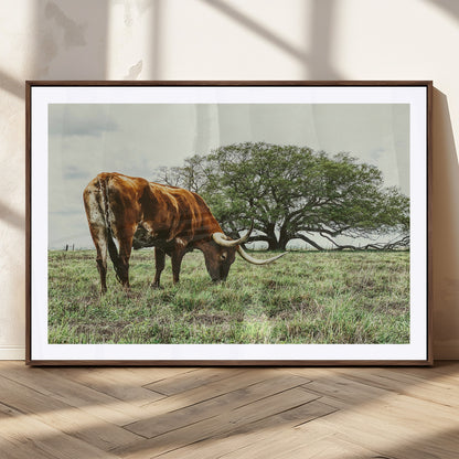 91866234-MGC-FP-36x24_Walnut-Texas Longhorn Wall Art Canvas Print, Framed Rustic Ranch Art Picture Print, Western Cattle Perfect Rustic Farmhouse Decor Artwork