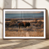 39509187-MGC-FP-36x24_Walnut-Western Wildlife Wall Art Canvas Print, Framed Bison Art Picture Print, Golden Hour Perfect Western Rustic Decor Artwork