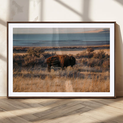 39509187-MGC-FP-36x24_Walnut-Western Wildlife Wall Art Canvas Print, Framed Bison Art Picture Print, Golden Hour Perfect Western Rustic Decor Artwork