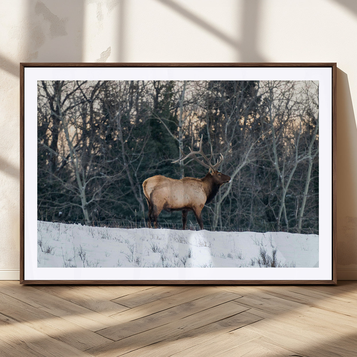 36533178-MGC-FP-36x24_Walnut-Wild Elk Photography Wall Art Canvas Print, Framed Winter Wildlife Art Picture Print, Snowy Forest Perfect Rustic Lodge Decor