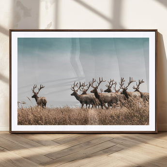 81594705-MGC-FP-36x24_Walnut-Elk Herd Wall Art Canvas Print, Framed Wildlife Photography Art Picture Print, Rustic Nature Print Perfect Rustic Wildlife Decor