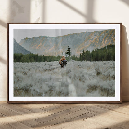 41674074-MGC-FP-36x24_Walnut-Bison Wall Art – American Buffalo Wildlife Photography Canvas Print, Western Mountain Landscape Artwork Rustic Nature Decor for