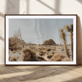 62783269-MGC-FP-36x24_Walnut-Joshua Tree Wall Art – Desert Landscape Photography Canvas Print, Southwest Nature Artwork Rustic Home Decor for Living Room,
