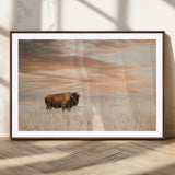 20306324-MGC-FP-36x24_Walnut-Bison Wall Art – Lone American Buffalo Prairie Sunset Canvas Print, Rustic Western Wildlife Photography Decor for Living Room,