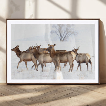 41416314-MGC-FP-36x24_Walnut-Elk Wall Art – Wildlife Herd Canvas Print in Snowy Landscape, Rustic Nature Painting, Western Cabin Lodge Decor for Living Room,