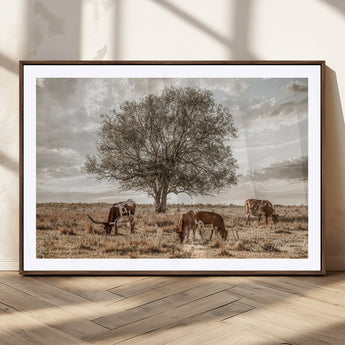 87590224-MGC-FP-36x24_Walnut-Longhorn Cattle Wall Art – Rustic Western Landscape Canvas Print, Texas Farmhouse Prairie Scene for Living Room, Office, or Ranch