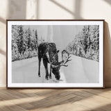 38956835-MGC-FP-36x24_Walnut-Moose Wall Art – Black and White Wildlife Canvas Print with Snowy Forest Road, Rustic Nature Photography for Cabin, Lodge, Living