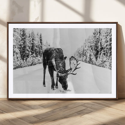 38956835-MGC-FP-36x24_Walnut-Moose Wall Art – Black and White Wildlife Canvas Print with Snowy Forest Road, Rustic Nature Photography for Cabin, Lodge, Living