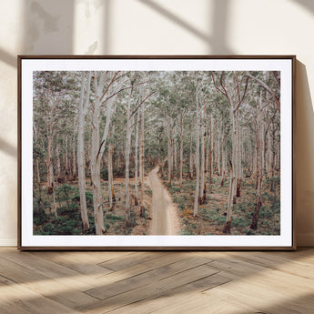 24760563-MGC-FP-36x24_Walnut-Forest Wall Art – Tranquil Woodland Path Canvas Print, Scenic Nature Photography Decor for Bedroom, Living Room, Office, Cabin or