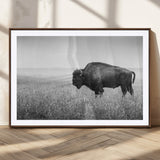 90861202-MGC-FP-36x24_Walnut-Black and White Bison Canvas Wall Art – Rustic American Buffalo Print, Western Wildlife Photography for Farmhouse, Cabin, Office