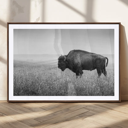 90861202-MGC-FP-36x24_Walnut-Black and White Bison Canvas Wall Art – Rustic American Buffalo Print, Western Wildlife Photography for Farmhouse, Cabin, Office
