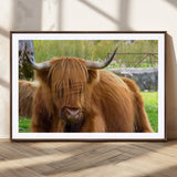 68411138-MGC-FP-36x24_Walnut-Farmhouse Wall Art – Highland Cow Canvas Print, Rustic Country Cattle Photography Decor for Bedroom, Living Room, Office, Ranch,