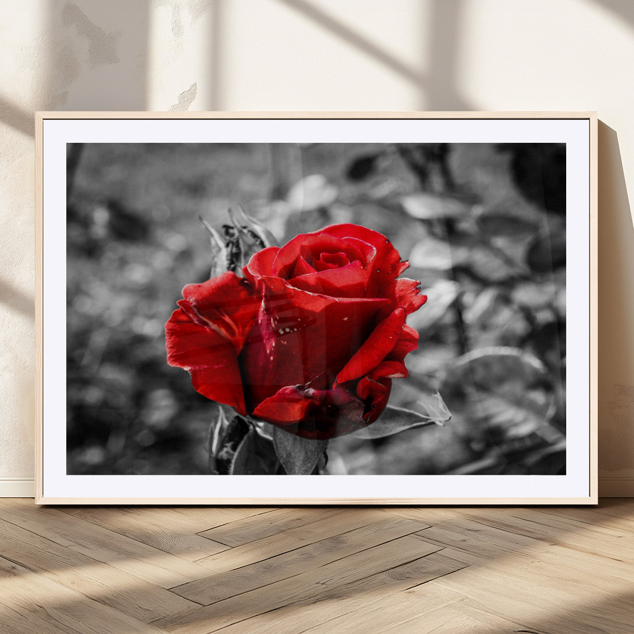 84671-MGC-FP-36x24_Natural-Red Rose Wall Art – Vibrant Single Bloom Canvas Print with Black and White Background, Elegant Floral Decor for Living Room,
