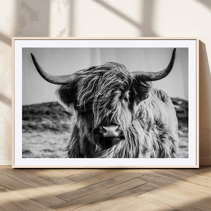 36979-MGV-CV-36X24-Striking black-and-white portrait of a Highland cow with flowing fur and majestic horns, perfect for rustic and elegant home or