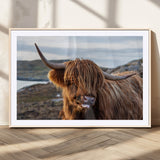 71222-MGC-FP-36x24_Natural-A playful Highland cow with shaggy fur sticks out its tongue, set against a rugged landscape — perfect for quirky home or office