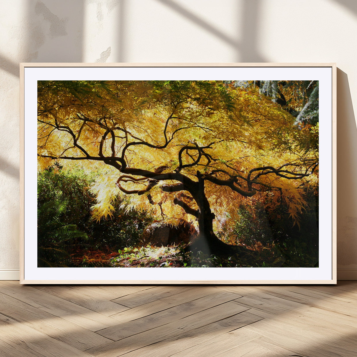 19067-MGV-CV-36X24-Golden Canopy Wall Art – Panoramic Autumn Tree Canvas Print, Warm Seasonal Decor for Living Room, Office or Garden Space