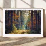 86249-MGC-FP-36x24_Natural-Sunlit Autumn Forest Path Wall Art – Peaceful Nature Scene with Fall Foliage, Calming Woods Decor for Home or Office