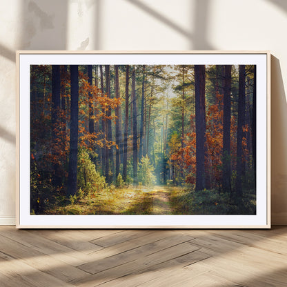 86249-MGC-FP-36x24_Natural-Sunlit Autumn Forest Path Wall Art – Peaceful Nature Scene with Fall Foliage, Calming Woods Decor for Home or Office
