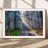42047-MGC-FP-36x24_Natural-Sunlit Forest Path Wall Art – Nature Canvas Print, Serene Woodland Landscape, Perfect Home & Office Decor for Calm and Tranquil