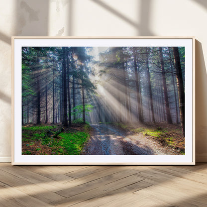 42047-MGC-FP-36x24_Natural-Sunlit Forest Path Wall Art – Nature Canvas Print, Serene Woodland Landscape, Perfect Home & Office Decor for Calm and Tranquil
