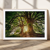 52150-MGC-FP-36x24_Natural-Majestic Tree Wall Art – Large Nature Canvas Print with Sunlight Through Branches, Rustic Forest Decor for Living Room, Bedroom or