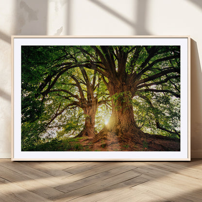 52150-MGV-CV-36X24-Majestic Tree Wall Art – Large Nature Canvas Print with Sunlight Through Branches, Rustic Forest Decor for Living Room, Bedroom or