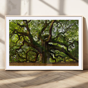 29407-MGC-FP-36x24_Natural-Ancient Oak Tree Wall Art – Majestic Nature Canvas Print, Large Tree Photography Decor for Living Room or Office