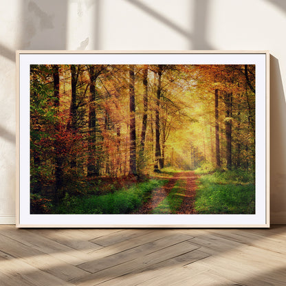 73494-MGV-CV-36X24-Golden Autumn Forest Path Wall Art – Sunlit Woodland Canvas Print, Fall Nature Landscape Home Decoration
