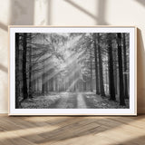 39665-MGV-CV-36X24-Black and White Forest Path Wall Art – Sunlight Rays in Trees Canvas Print, Nature Landscape Decor for Living Room