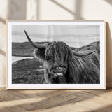 83810-MGV-CV-36X24-Highland Cow Wall Art – Black and White Highland Cattle Print, Rustic Farmhouse Animal Decor for Living Room