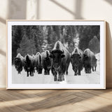 62434-MGC-FP-36x24_Natural-Bison Herd Wall Art – Majestic Black and White Buffalo Canvas Print, Wildlife Nature Photography Decor for Living Room, Office or