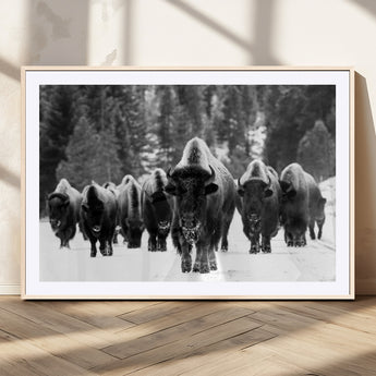 62434-MGC-FP-36x24_Natural-Bison Herd Wall Art – Majestic Black and White Buffalo Canvas Print, Wildlife Nature Photography Decor for Living Room, Office or