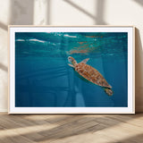 91440-MGV-CV-36X24-Sea Turtle Wall Art – Ocean Turtle Canvas Print, Underwater Marine Life Decor for Living Room, Office, Beach House or Bathroom