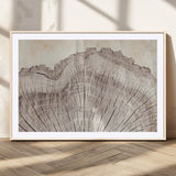 67528-MGV-CV-36X24-Wood Ring Wall Art Canvas Print, Framed Tree Ring Art Picture Print, Rustic Tree Ring Perfect Neutral Boho Decor Artwork