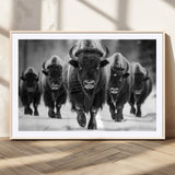 79872-MGC-FP-36x24_Natural-Bison Herd Wall Art – Black and White Buffalo on Snow Canvas Print, Rustic Wildlife Decor for Lodge, Cabin, or Living Room