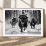 97552-MGV-CV-36X24-Black and White Bison Wall Art – Buffalo Herd Running in Snow Canvas Print, Rustic Wildlife Photography Decor for Cabin, Lodge, or