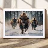 56549-MGV-CV-36X24-Wild Bison Wall Art – Majestic Buffalo Herd Running in Snow Canvas Print, Rustic Wildlife Photography Decor for Cabin, Lodge, or