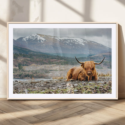 80252-MGC-FP-36x24_Natural-Scottish Cow Wall Art Canvas Print, Framed Highland Cow Art Picture Print, Highland Cattle Perfect Rustic Farmhouse Decor Artwork