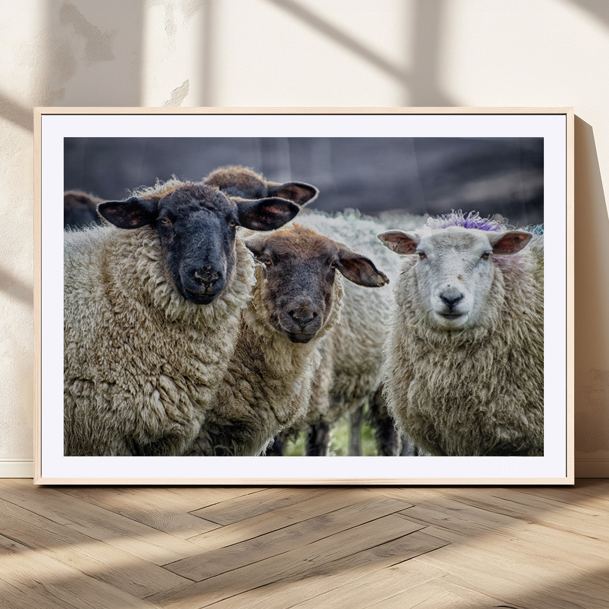 18418-MGC-FP-36x24_Natural-Sheep Wall Art Canvas Print, Framed Farmhouse Sheep Art Picture Print, Sheep Herd Perfect Rustic Farmhouse Decor Artwork