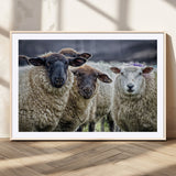 18418-MGC-FP-36x24_Natural-Sheep Wall Art Canvas Print, Framed Farmhouse Sheep Art Picture Print, Sheep Herd Perfect Rustic Farmhouse Decor Artwork