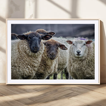 18418-MGC-FP-36x24_Natural-Sheep Wall Art Canvas Print, Framed Farmhouse Sheep Art Picture Print, Sheep Herd Perfect Rustic Farmhouse Decor Artwork