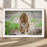 75066-MGV-CV-36X24-Leopard Wall Art Canvas Print, Framed Wild Animal Art Picture Print, Blue Eye Leopard Perfect Wild Minimal Decor Artwork